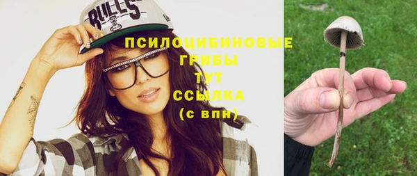 кристаллы Богданович
