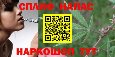 Альфа ПВП Апшеронск
