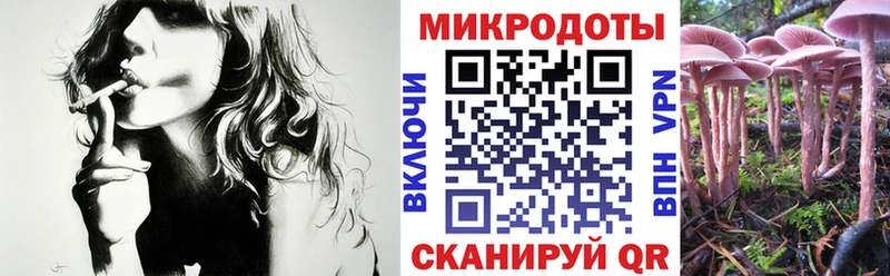 Галлюциногенные грибы Cubensis  где найти   Минеральные Воды 