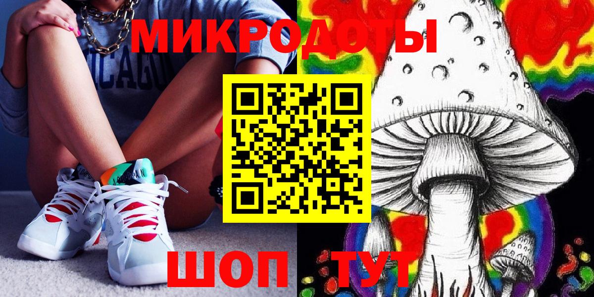 Псилоцибиновые грибы мицелий Минеральные Воды