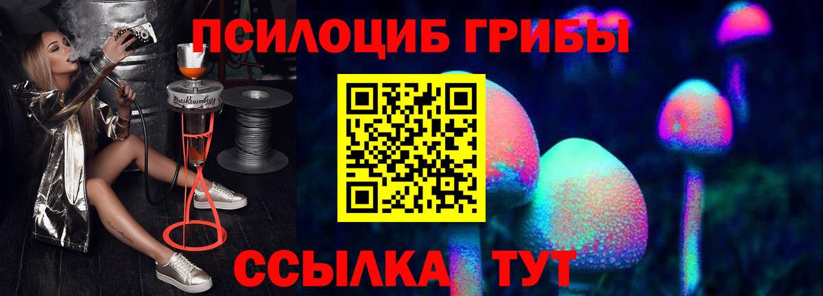Псилоцибиновые грибы Cubensis  Псилоцибиновые грибы прущие грибы  Минеральные Воды  цена наркотик  Вход с VPN 